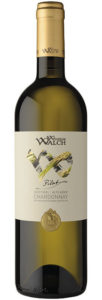 Chardonnay-Pilat